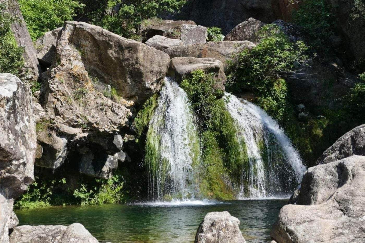 Le Clos Du Cedre Saint Sebastien d'Aigrefeuille Kültér fotó