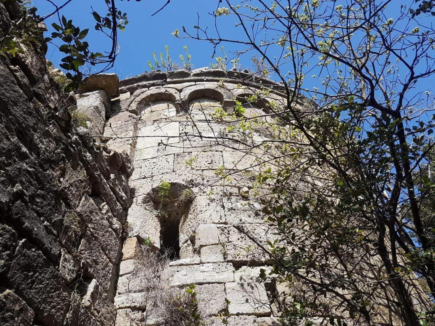 Le Clos Du Cedre Saint Sebastien d'Aigrefeuille Kültér fotó