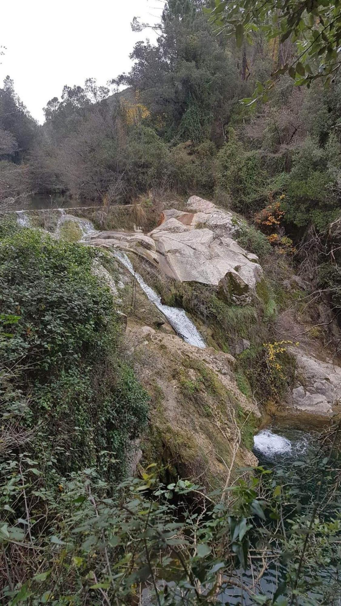 Le Clos Du Cedre Saint Sebastien d'Aigrefeuille Kültér fotó
