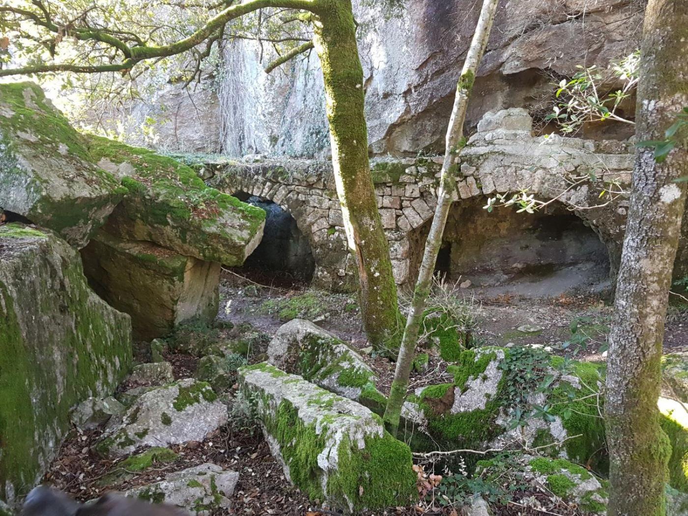 Le Clos Du Cedre Saint Sebastien d'Aigrefeuille Kültér fotó