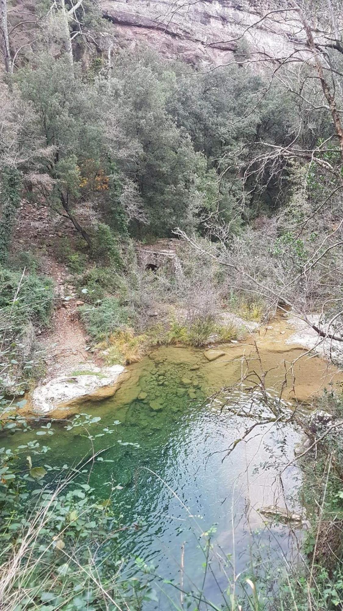 Le Clos Du Cedre Saint Sebastien d'Aigrefeuille Kültér fotó